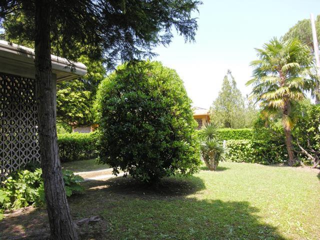 Villa Regina Bibione Dış mekan fotoğraf